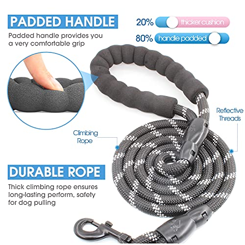 BAAPET Reflective Dog Leash with Padded Handle