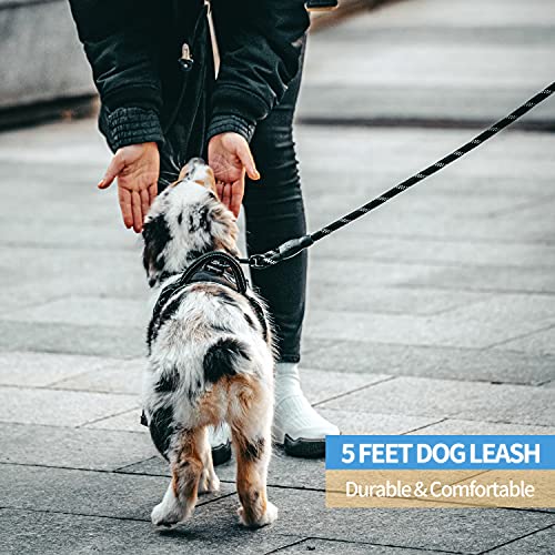 BAAPET Reflective Dog Leash with Padded Handle