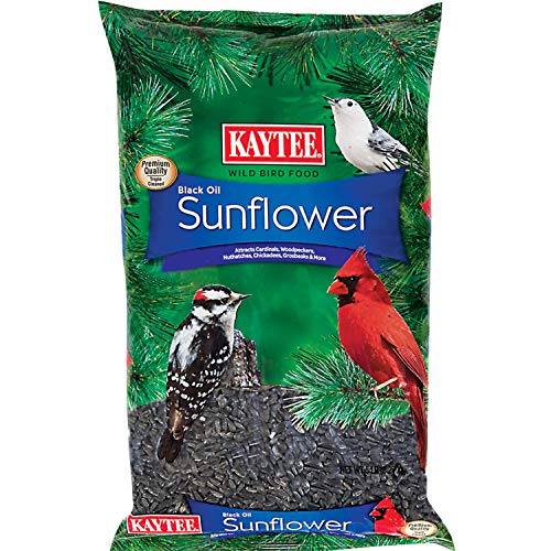 Kaytee Black Oil Sunflower Bird Food, 5 Lbs