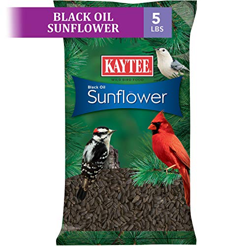 Kaytee Black Oil Sunflower Bird Food, 5 Lbs
