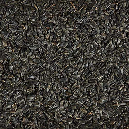 Kaytee Black Oil Sunflower Bird Food, 5 Lbs