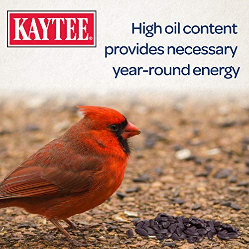 Kaytee Black Oil Sunflower Bird Food, 5 Lbs