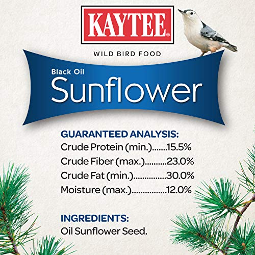 Kaytee Black Oil Sunflower Bird Food, 5 Lbs