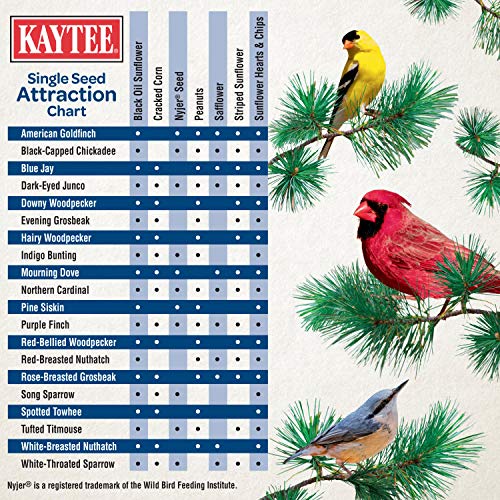 Kaytee Black Oil Sunflower Bird Food, 5 Lbs