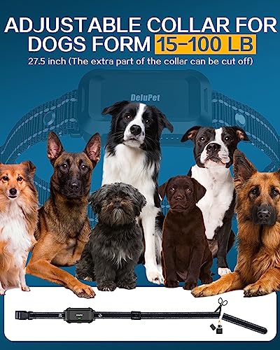 Remote Dog Training Shock Collar - 2600FT Range