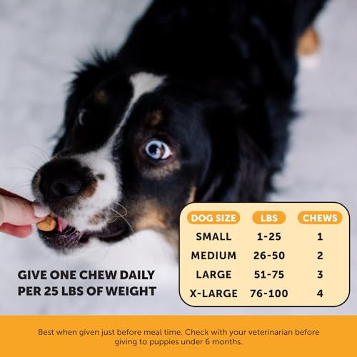 Pet Honesty Allergy Relief Chews for Dogs