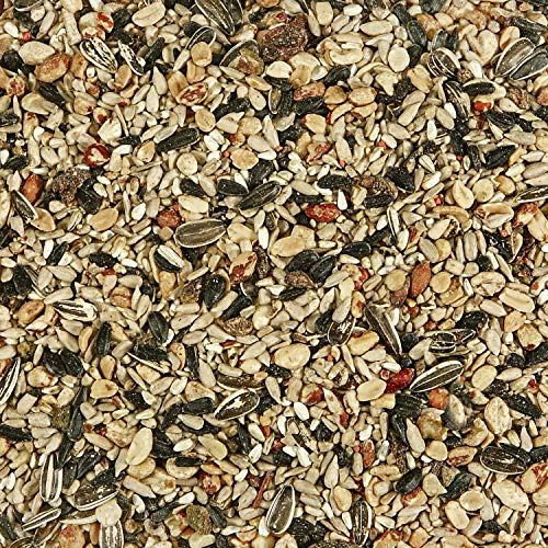 Kaytee Nut & Fruit Blend Bird Food 5 lbs