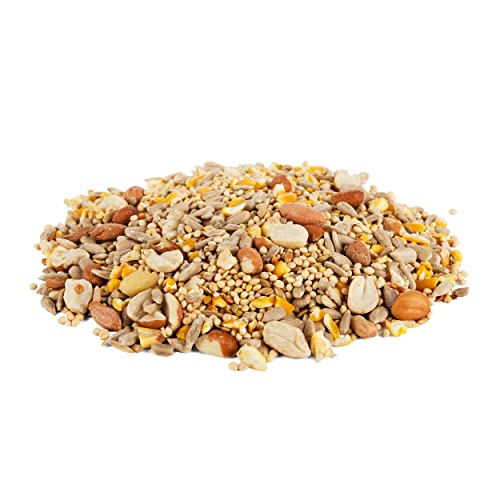 Premium Shell-Free Wild Bird Food - 10 lbs