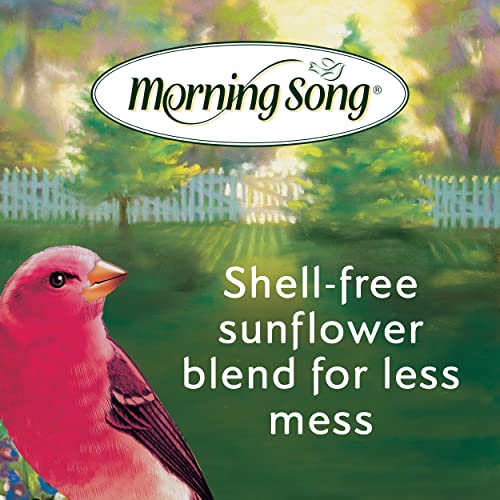 Premium Shell-Free Wild Bird Food - 10 lbs