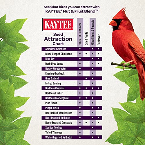 Kaytee Nut & Fruit Blend Bird Food 5 lbs