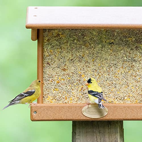 Premium Shell-Free Wild Bird Food - 10 lbs