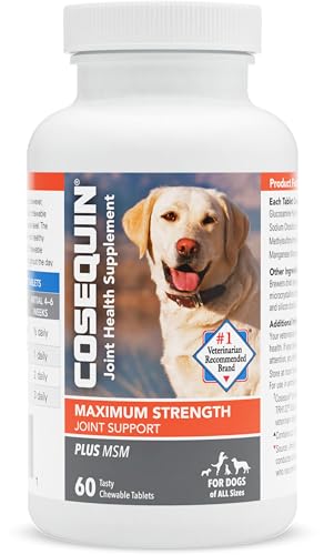 Cosequin Joint Health Chews for Dogs, 60 Count