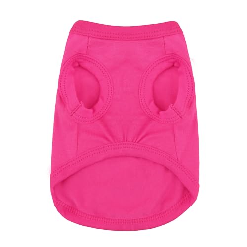 Little Miss Attitude Dog Clothes for Small Dogs