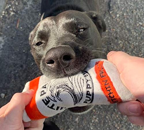 Neuter Light Plush Squeaky Dog Toys – Two Pack