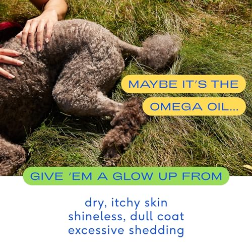 Native Pet Omega 3 Fish Oil for Dogs