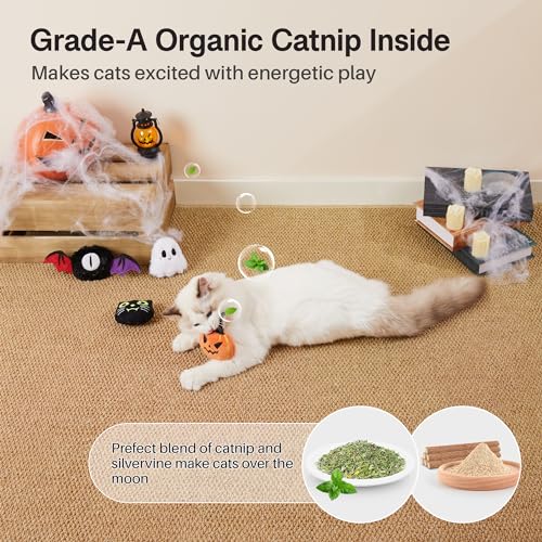 Interactive Glow-in-the-Dark Catnip Kicker Toys