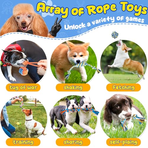 23-Pack Interactive Puppy Toys and Chew Toys