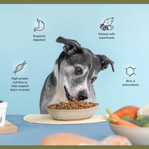 BADLANDS RANCH Superfood Beef Formula Dog Food