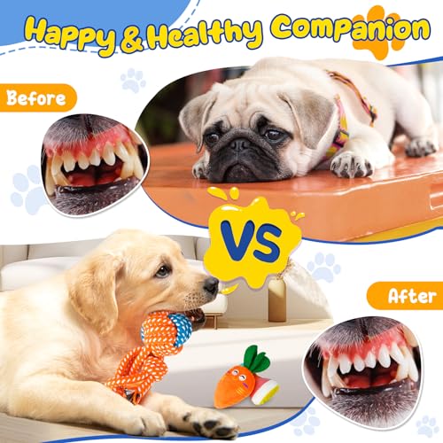 23-Pack Interactive Puppy Toys and Chew Toys