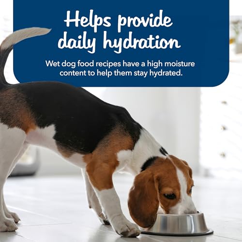 Blue Buffalo Natural Chicken & Beef Dog Stews