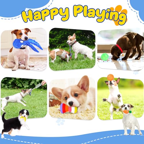 23-Pack Interactive Puppy Toys and Chew Toys