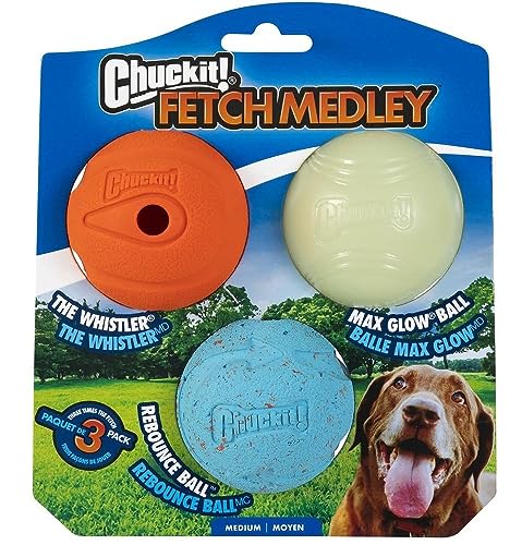Chuckit Fetch Medley Medium Dog Ball Pack