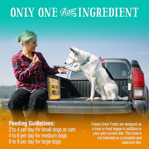 Raw Rewards Freeze-Dried Cheddar Cheese Treats for Pets