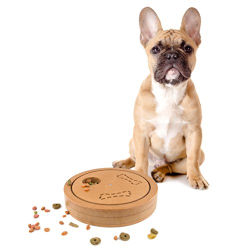 Double-Sided Interactive Cat and Dog Toy