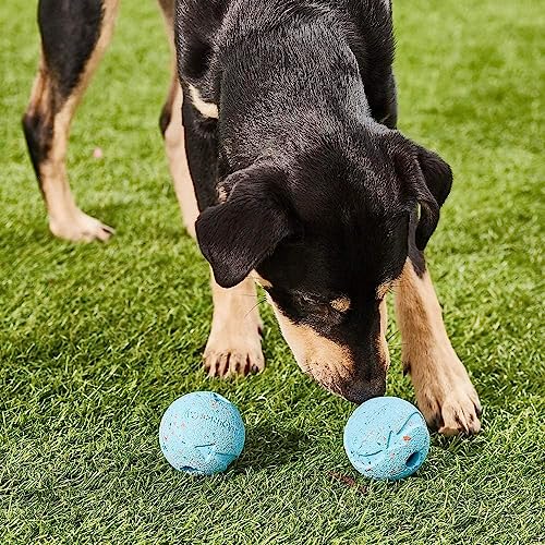 Chuckit Fetch Medley Medium Dog Ball Pack