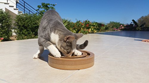 Double-Sided Interactive Cat and Dog Toy