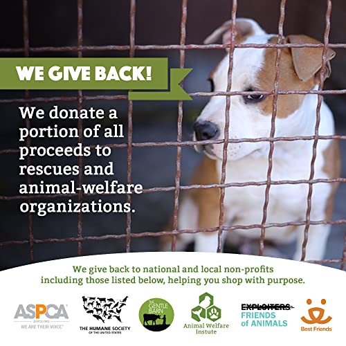 Doggy Do Good Essentials Bundle for Puppies