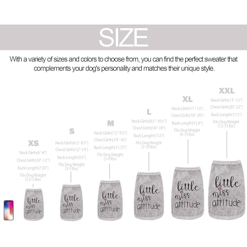 Little Miss Attitude Dog Clothes for Small Dogs