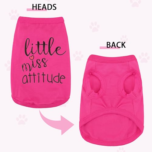 Little Miss Attitude Dog Clothes for Small Dogs