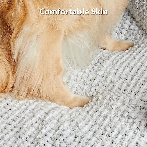 Large Orthopedic Dog Bed with Waterproof Cover