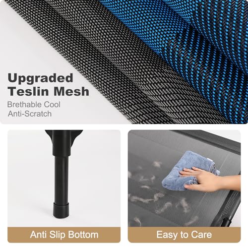 Elevated Waterproof Dog Bed for Extra Large Dogs