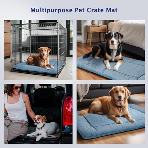 Reversible Soft Dog Crate Pad - Blue 18"x13