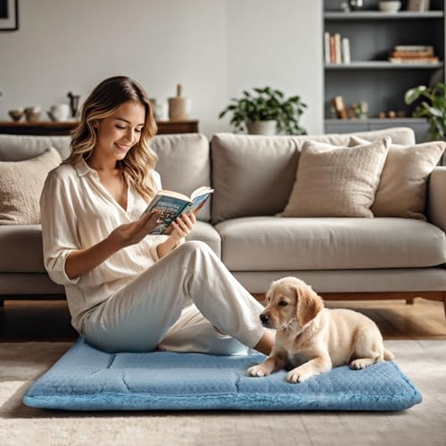 Reversible Soft Dog Crate Pad - Blue 18"x13