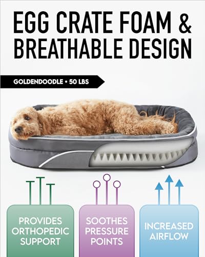 Orthopedic Dog Bed for Extra Large Dogs