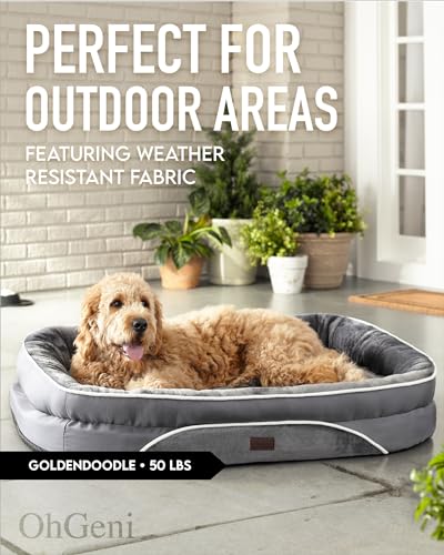 Orthopedic Dog Bed for Extra Large Dogs