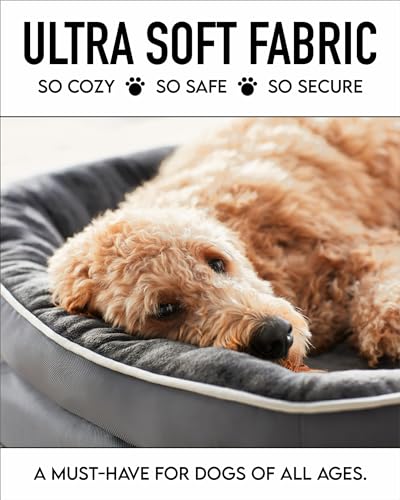 Orthopedic Dog Bed for Extra Large Dogs