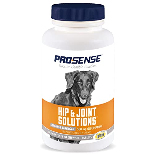 Healthy Glucosamine Chewables for Dog Joint Health