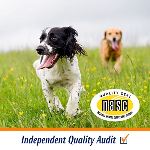 Healthy Glucosamine Chewables for Dog Joint Health