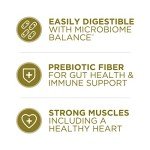 Purina ONE Lamb and Rice Dry Dog Food