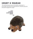 Kyjen Hedgehog Plush Dog Toy with Sounds
