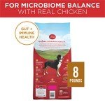 Purina ONE SmartBlend Dry Dog Food, Chicken & Rice