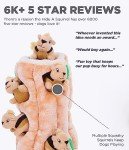 Outward Hound Hide A Squirrel Puzzle Toy - Small