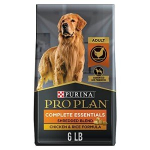 Pro Plan Shredded Chicken and Rice Dog Food 6 lb