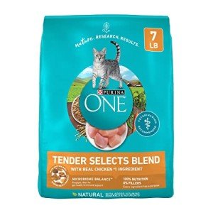 Purina One Natural Dry Cat Food with Chicken