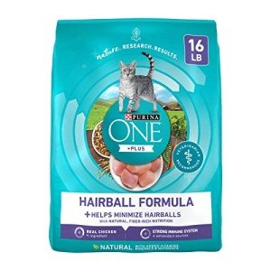 Purina ONE Hairball Control Dry Cat Food