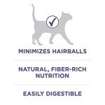 Purina ONE Hairball Control Dry Cat Food